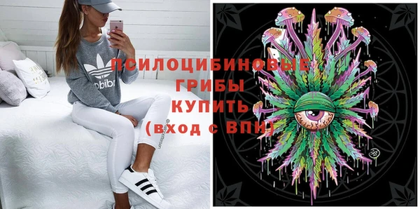 ALPHA PVP Богородицк