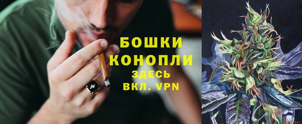 индика Бикин